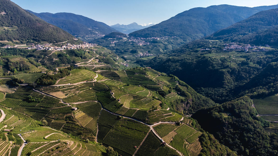 CS6-i-distretti-20220826-trentodoc-DJI-0250_imagefullwide