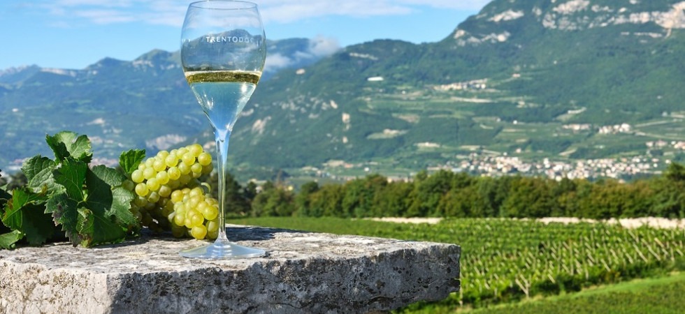 balter-vino-trentodoc-foto-il-companatico