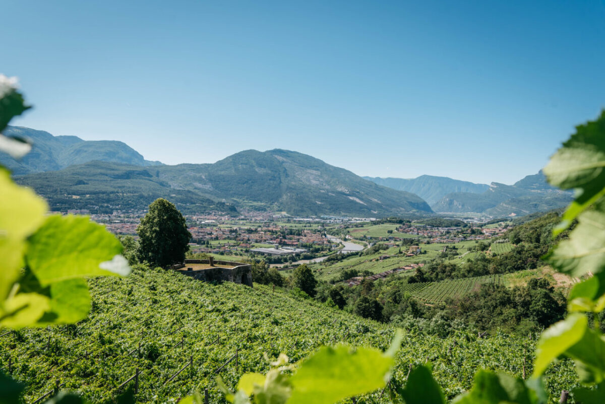 campagnesasso-2023-06-24-lucamatassoni-hd-5